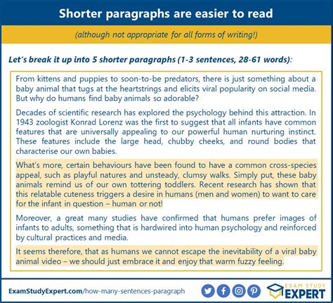 How Many Sentences Are in a 3 Paragraph Essay: Exploring the Structure and Beyond