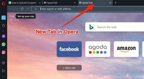 How to Open Private Browser on Opera GX: A Journey Through Digital Privacy and Unrelated Musings