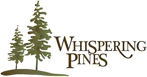  자매의 비밀 그리고 용감한 사랑을 그린 'The Whispering Pines'! 1919년의 감동과 고뇌를 담은 드라마 분석