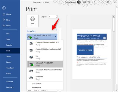 What is Microsoft Print to PDF Mean: A Digital Alchemist's Tool